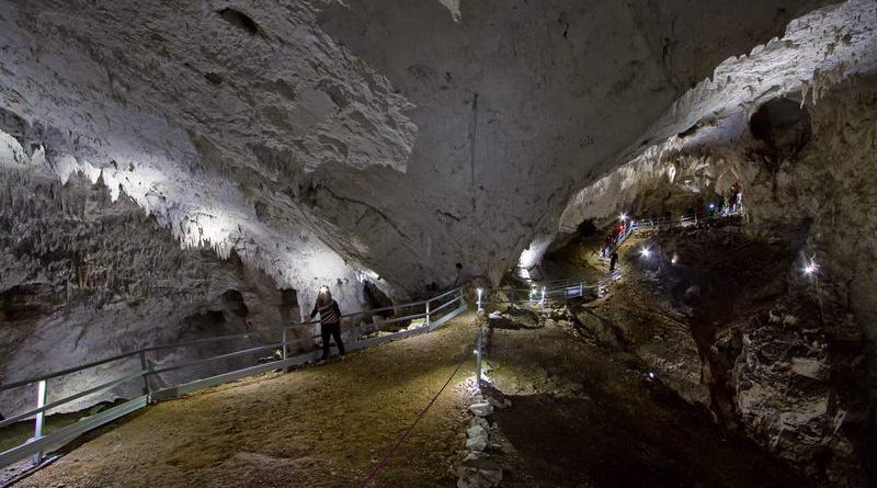 Curs de formare profesională Ghid turistic pentru peșteri amenajate,